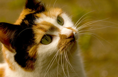 Similar image 8035641