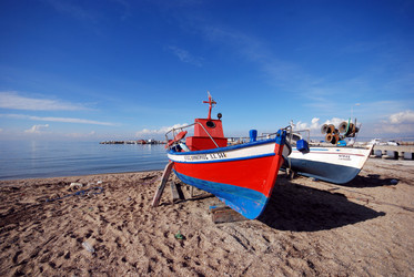 Similar image 8035651