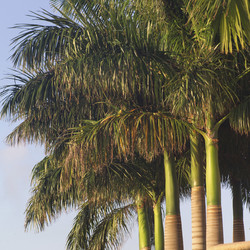 Similar image 8035653