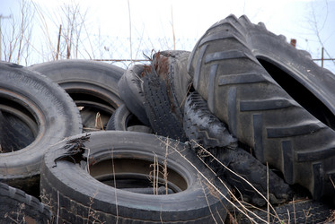 Similar image 8035656