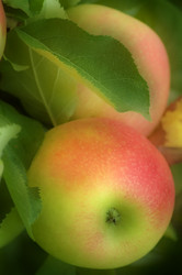 Similar image 8035658