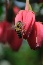 Similar image 8035663