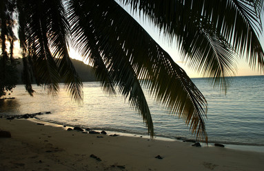 Similar image 8035666