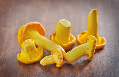 Similar image 8035746