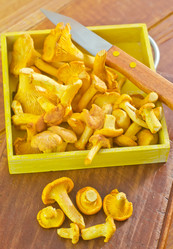 Similar image 8035747