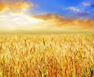 Similar image 8035824