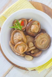 Similar image 8035937