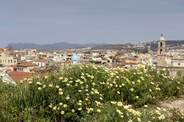 Similar image 8036013