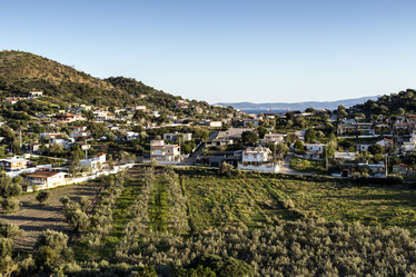 Similar image 8036016