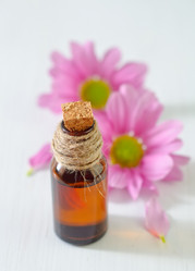 Similar image 8036121