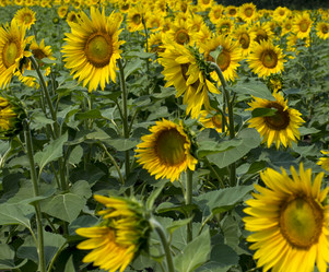 Similar image 8036151