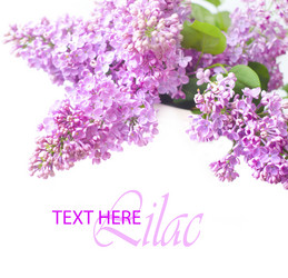 Similar image 8036256