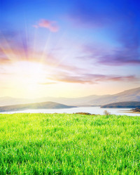 Similar image 8036268