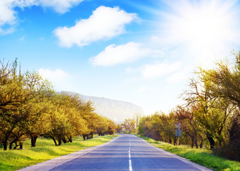 Similar image 8036269