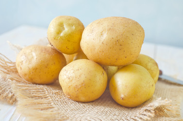 Similar image 8036350