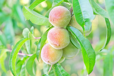 Similar image 8036452