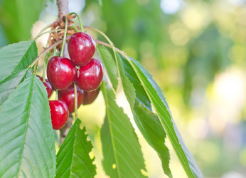 Similar image 8036463