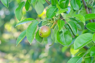 Similar image 8036468