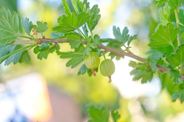 Similar image 8036471