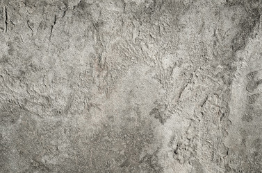 Similar image 8036472