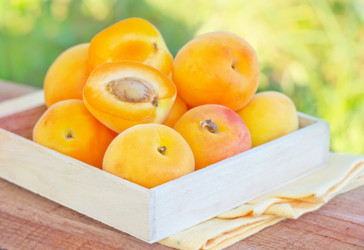 Similar image 8036480