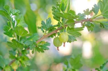 Similar image 8036482