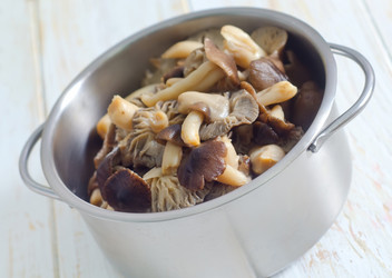 Similar image 8036664