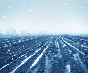 Similar image 8037101