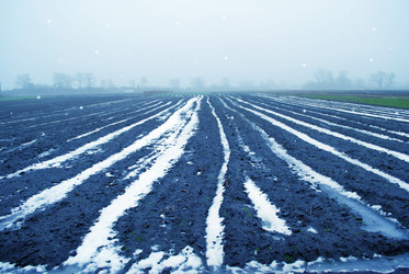 Similar image 8037244