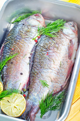 Similar image 8037259