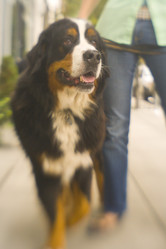 Similar image 8037507