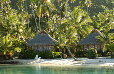 Similar image 8037515