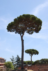 Similar image 8037522