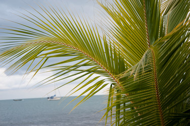 Similar image 8037552