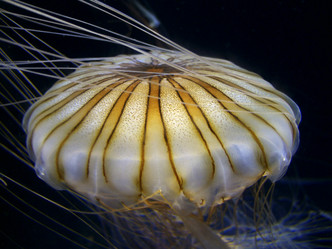 Similar image 8037553