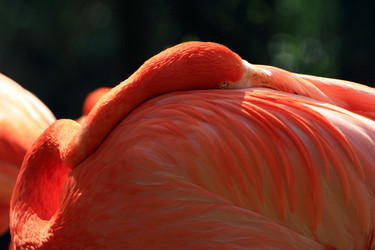 Similar image 8037554