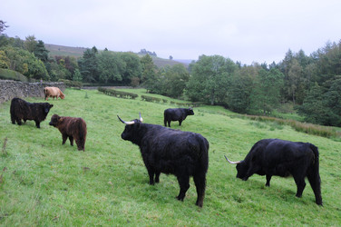 Similar image 8037567