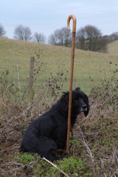 Similar image 8037572