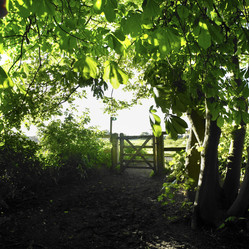 Similar image 8037583