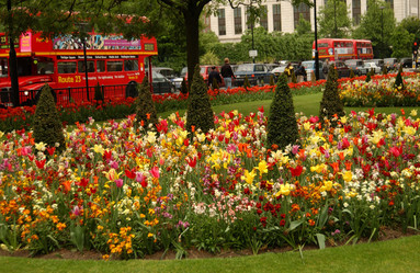 Similar image 8037586