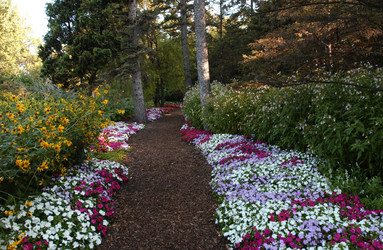 Similar image 8037616