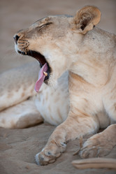 Similar image 8037643