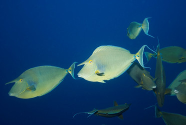 Similar image 8037647