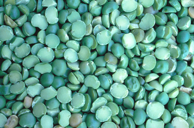 Similar image 8037653