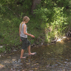 Similar image 8037660