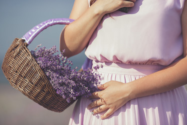 Similar image 8037663