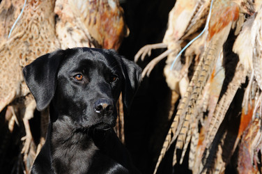 Similar image 8037687