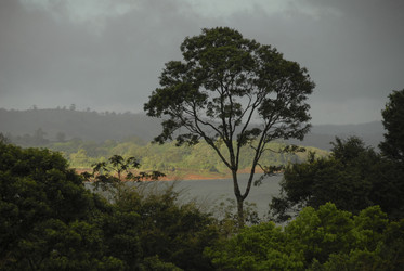 Similar image 8037689