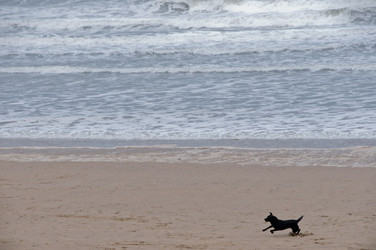 Similar image 8037693