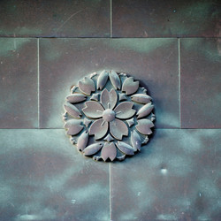 Similar image 8037694